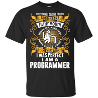 I Was Perfect I Am A Programmer