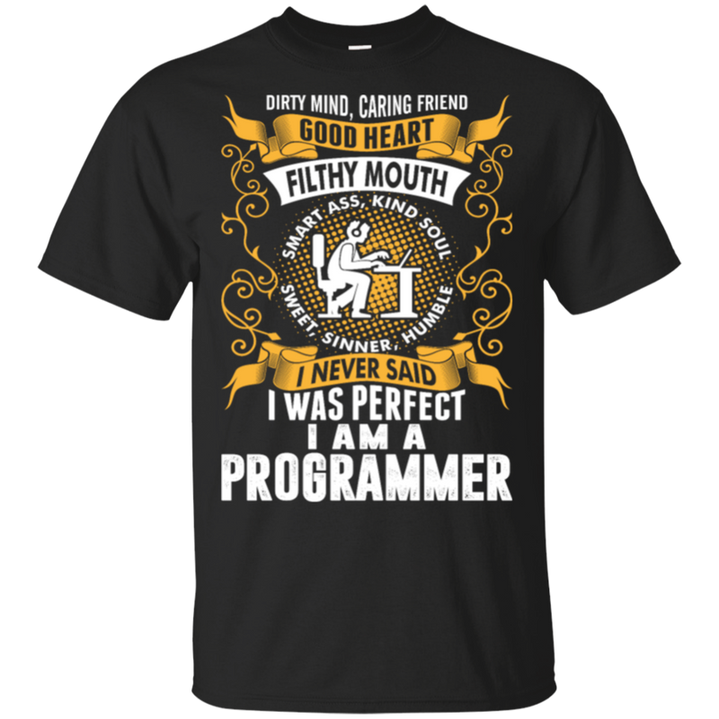 I Was Perfect I Am A Programmer