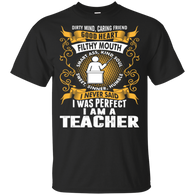 I Was Perfect I Am A Teacher