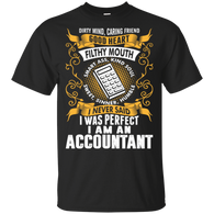 I Was Perfect I Am An Accountant