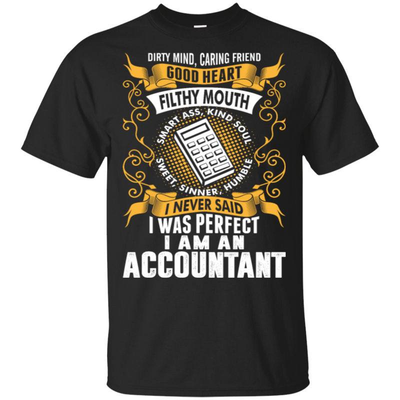 I Was Perfect I Am An Accountant